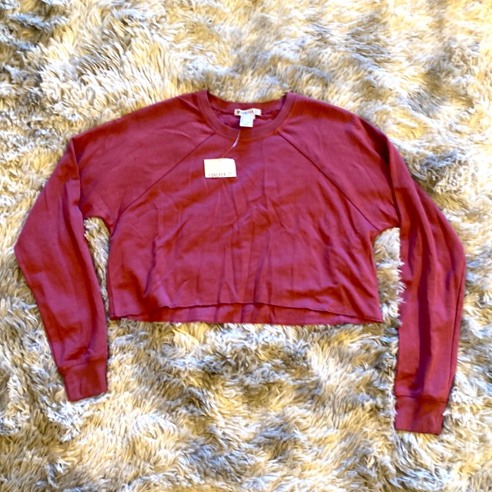 F21 crop sweater